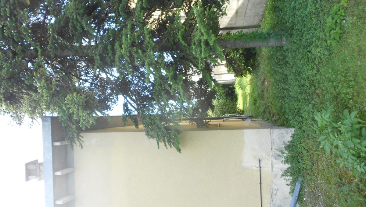DSCN9486