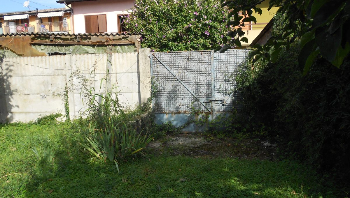 DSCN9502